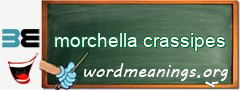 WordMeaning blackboard for morchella crassipes